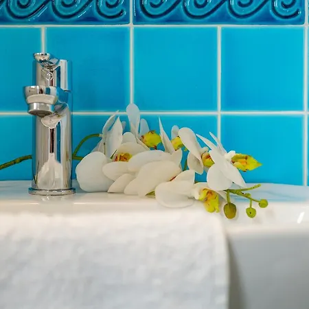 Casa Curiel וילסימיוס