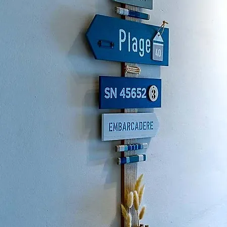 Casa Curiel Apartment *